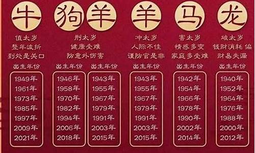 2025十二生肖运势运程图解析_2025十二生肖运势运程图解析大全