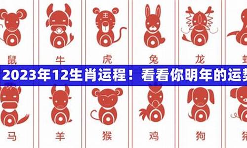 2023生肖运势大解析 十二生肖鼠_生肖鼠2023年