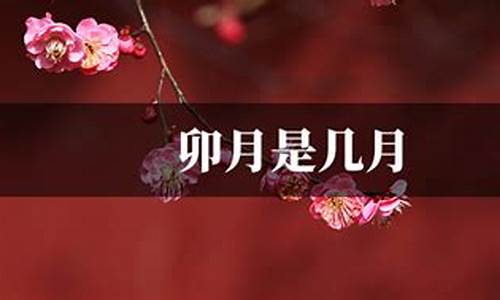 卯兔是几月几日生日_卯兔是哪一年怎么算